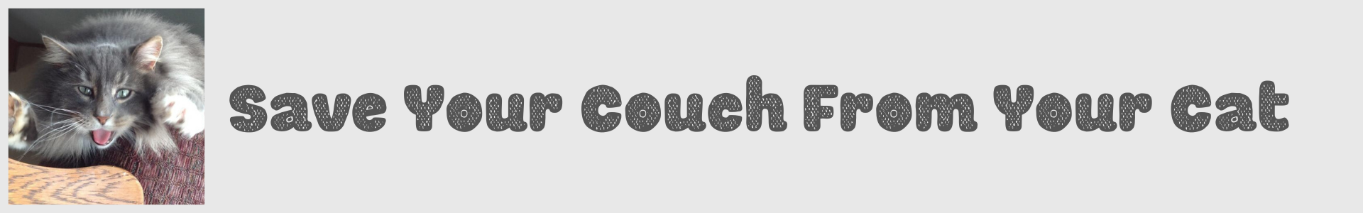 Save Your Couch From Your Cat